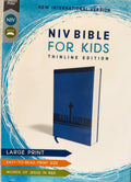 NIV Bibles for boys