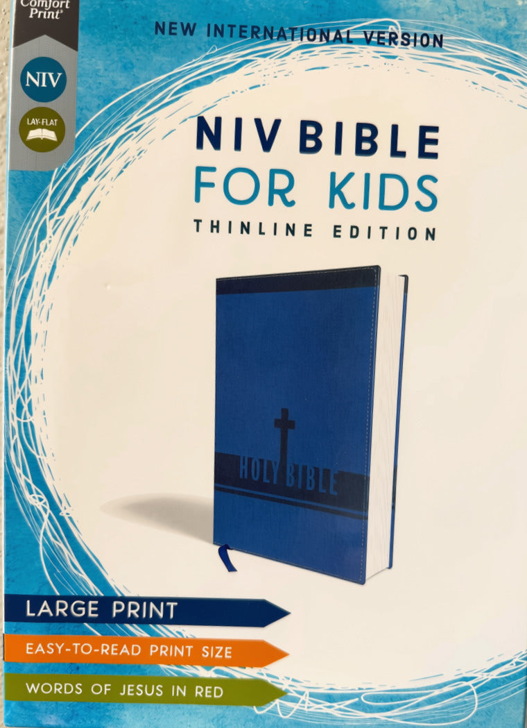 NIV Bibles for boys